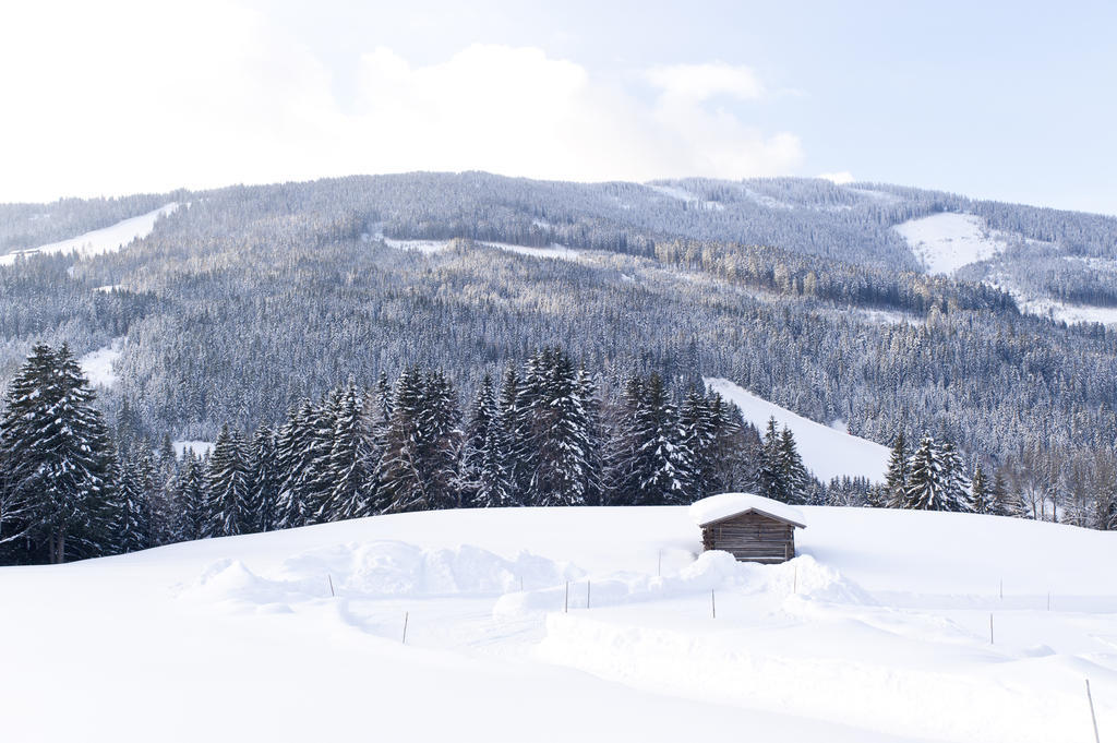 Hotel Alpenkrone ฟิลซ์โมส ภายนอก รูปภาพ